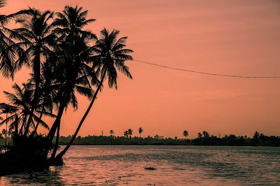 things to do in Alleppey