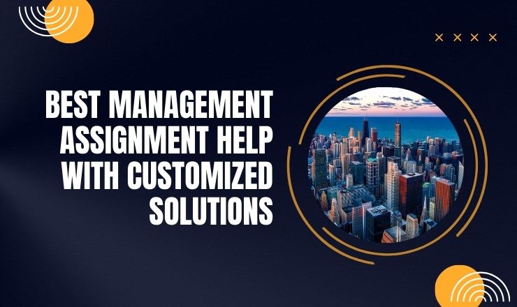 Best Management Assignment Help with Customized Solutions