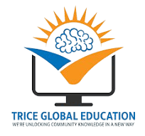 From Strategy to Success: Trice Global Education?s Digital Marketing & SEO 1 download trice logo removebg