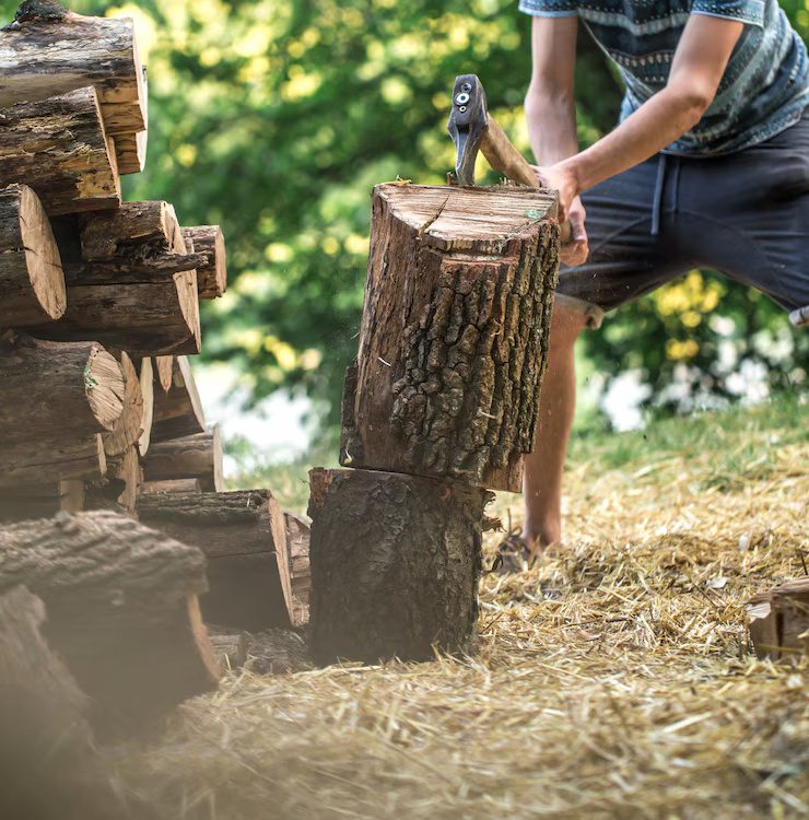 man chopping wood with axe 169016 3691
