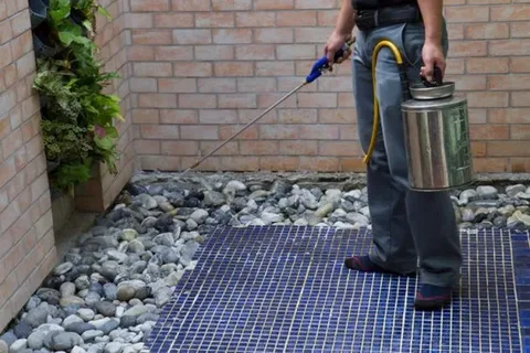 termite control services
