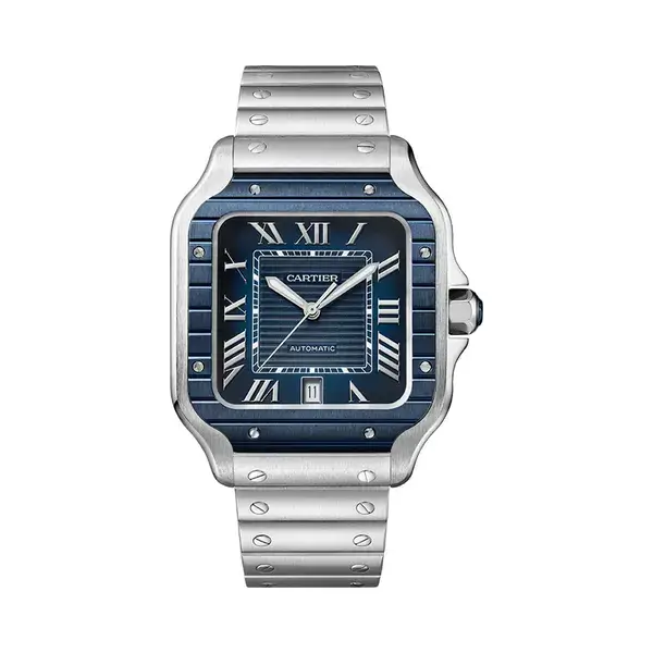 luxury watch