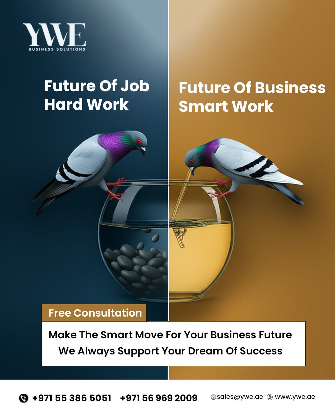 Business Setup Consultancy