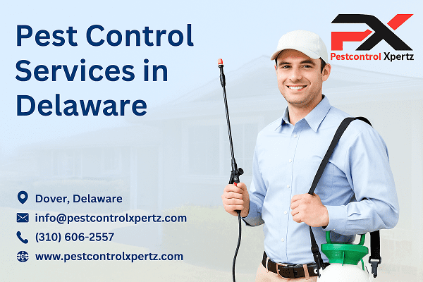 Pest Control Services in Delaware