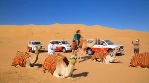 Desert Safari in Dubai: A Thrilling Escape into the Heart of Arabia 2 Desert Safari in Dubai
