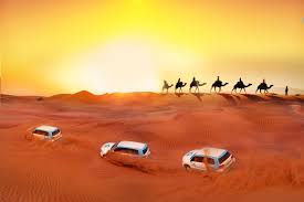 Desert Safari in Dubai: Your Ultimate Guide to the Arabian Adventure 2 Desert Safari in Dubai