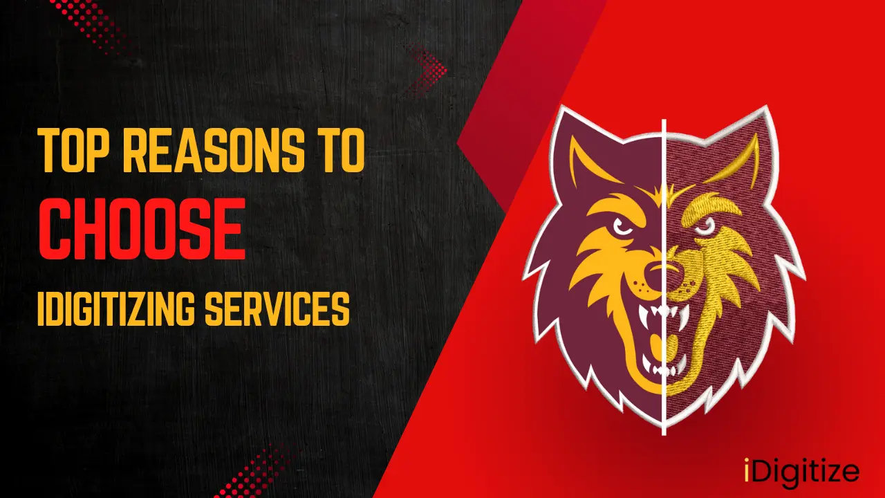 Top Reasons to Choose Idigitizing Services