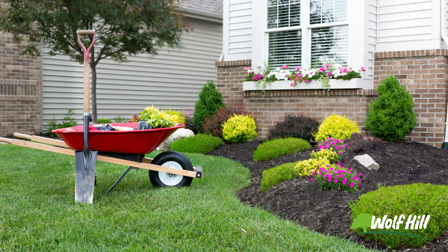 GREENWISH LLC