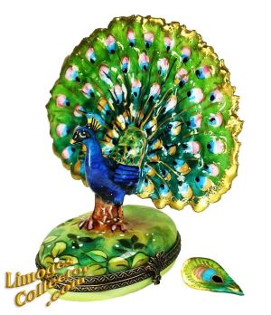 peacock-2543