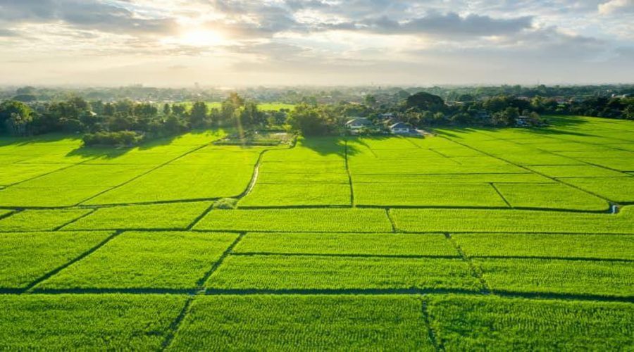 Godrej Plots Doddaballapur